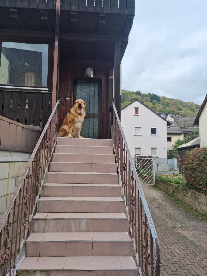 Villa Main Zu Hause à Eichenbuhl  Extérieur photo