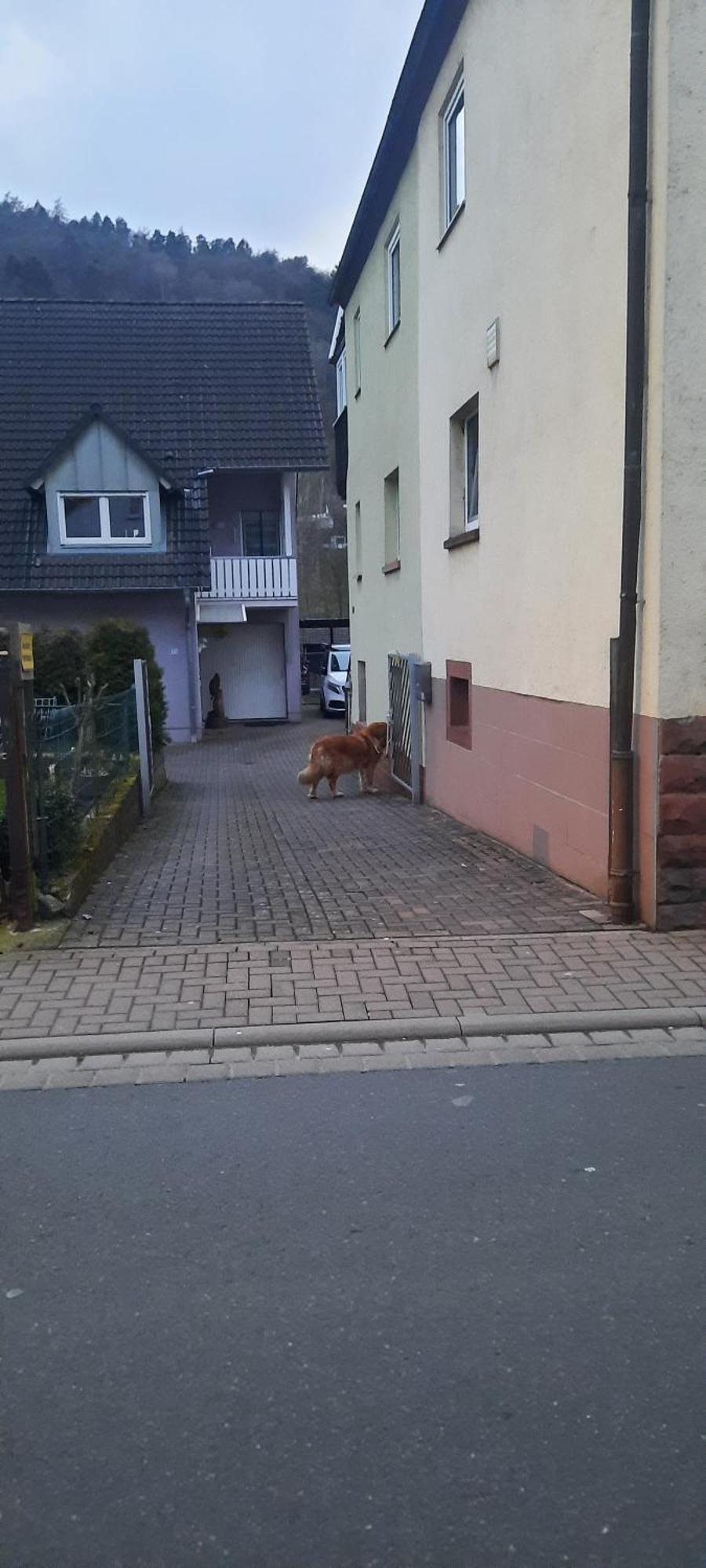 Villa Main Zu Hause à Eichenbuhl  Extérieur photo